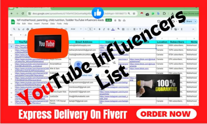 Gig Preview - Find the best youtube influencer email lists for your outreach campaigns