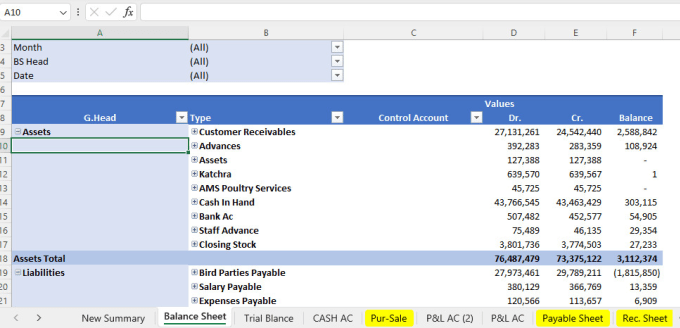 Gig Preview - Do accounts on excel