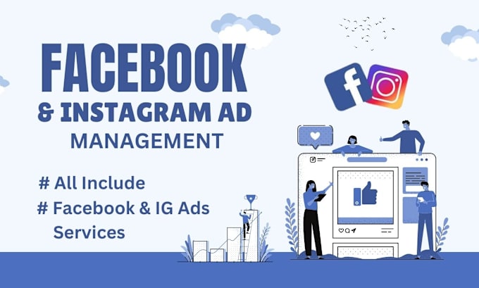 Gig Preview - Setup and manage facebook and instagram ads campaigns