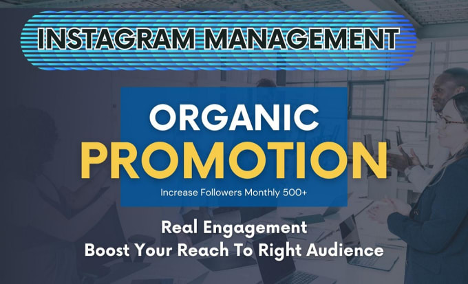 Gig Preview - Do organic instagram growth super fast and boost post reach