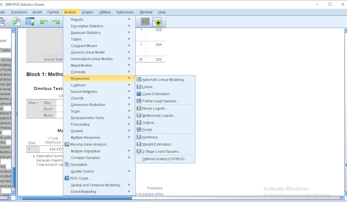 Gig Preview - Do advance statistical data analysis using excel, spss and r