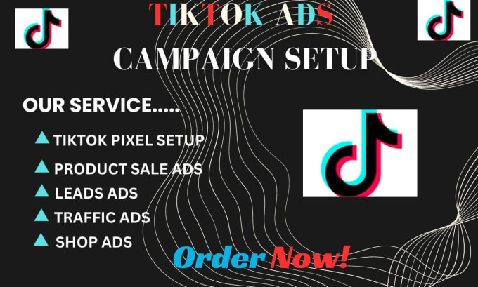 Gig Preview - Launch tiktok ads campaign and optimize tiktok advertising