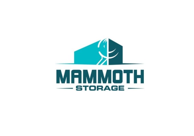 Gig Preview - Design pretty cool amazing storage logo