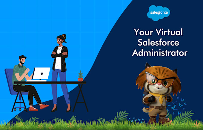 Gig Preview - Be your trusted salesforce admin, developer, consultant