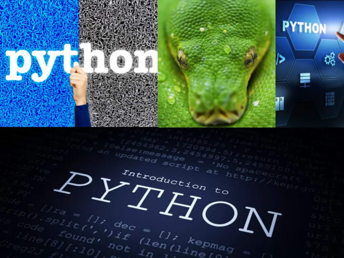 Bestseller - do python projects and scripts