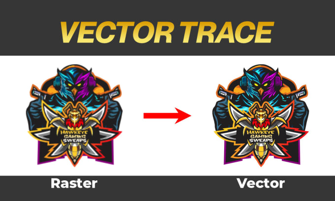 Gig Preview - Vector trace or redraw any logo or image into a vector file