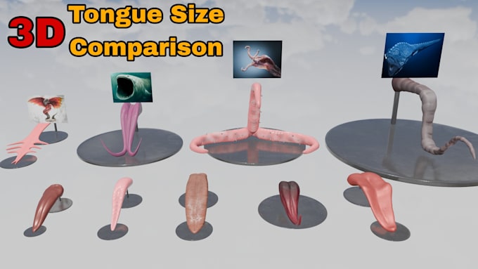 Gig Preview - Make any 3d size comparison video