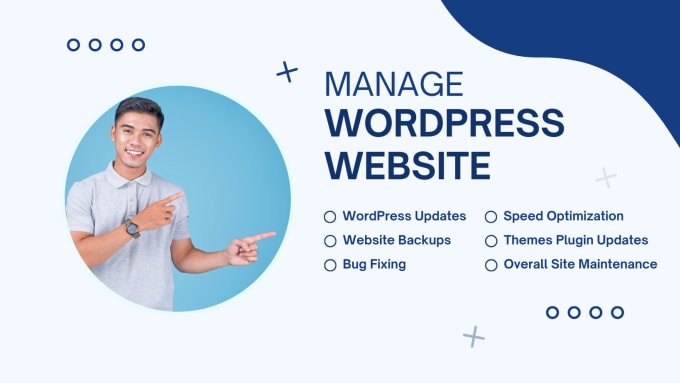 Gig Preview - Provide maintenance and support for your wordpress website