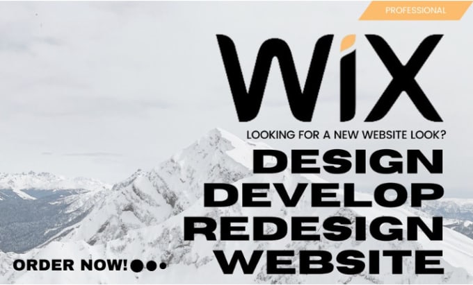 Gig Preview - Design, develop, redesign your business wix website