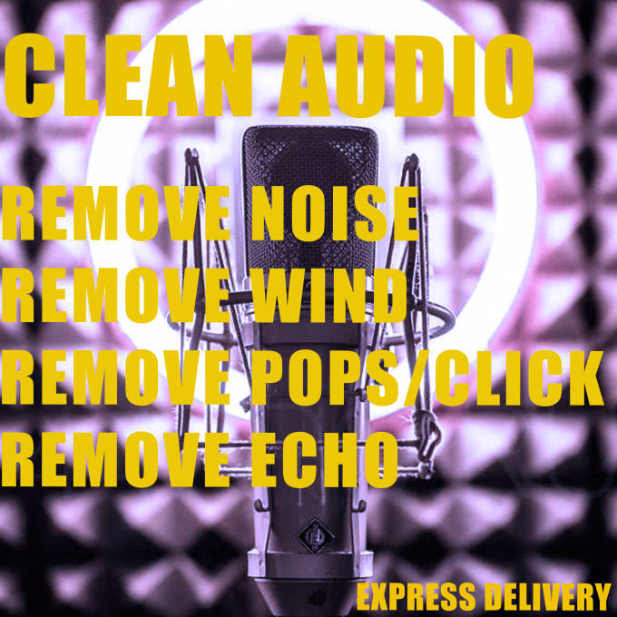 Gig Preview - Remove wind, noise, echo, repair and clean your audio