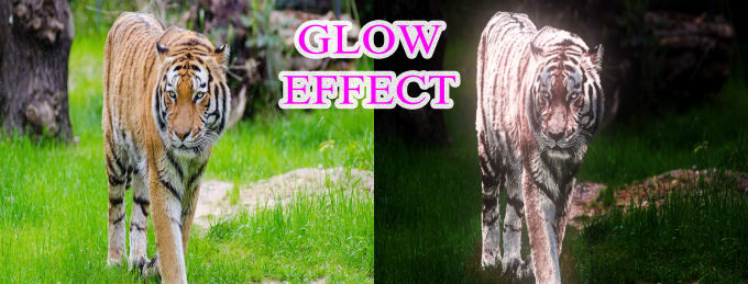 Gig Preview - Do amazing glow effect or photo manipulation