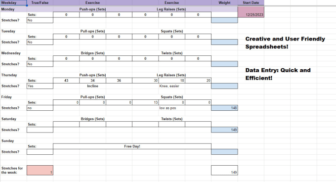 Gig Preview - Create and enter data into spreadsheets quickly