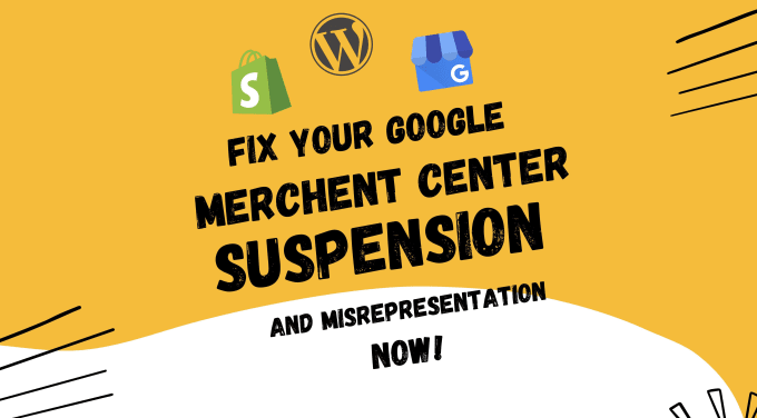 Gig Preview - Fix google merchant center suspension