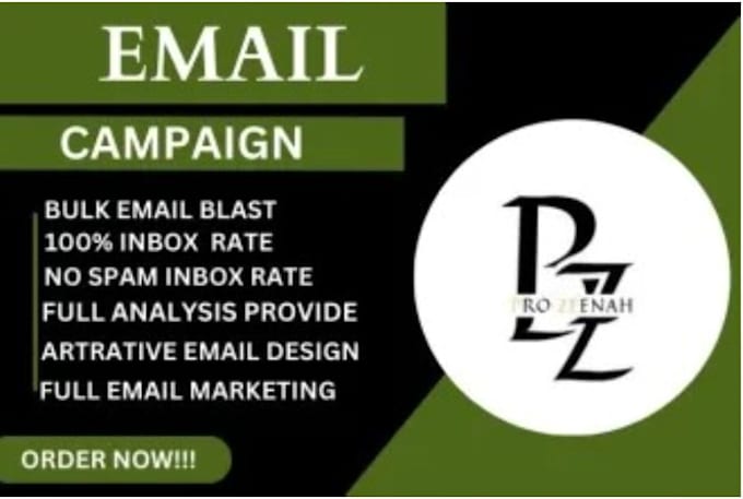 Gig Preview - Send 500 emails one by one manually ,email blast service