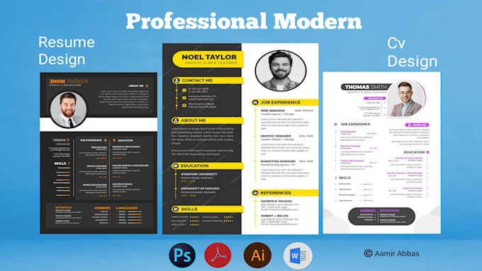 Gig Preview - Do graphic resume design professional cv design service deliver 6 hour