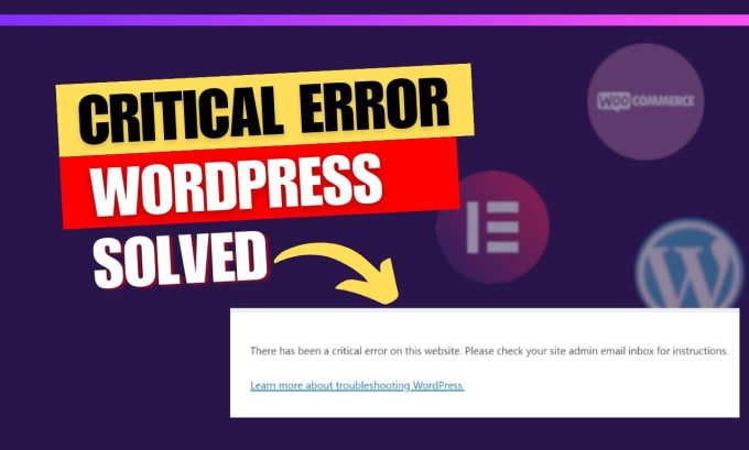 Gig Preview - Fix wordpress critical error and wordpress bug within 1 hour