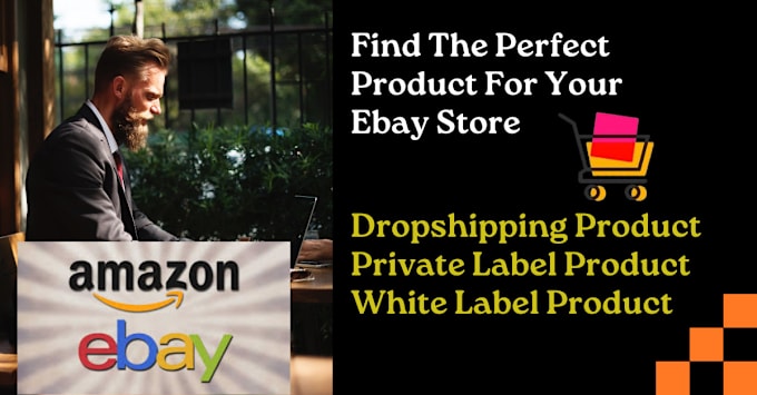 Gig Preview - Do high profit ebay dropshipping product or private label product research