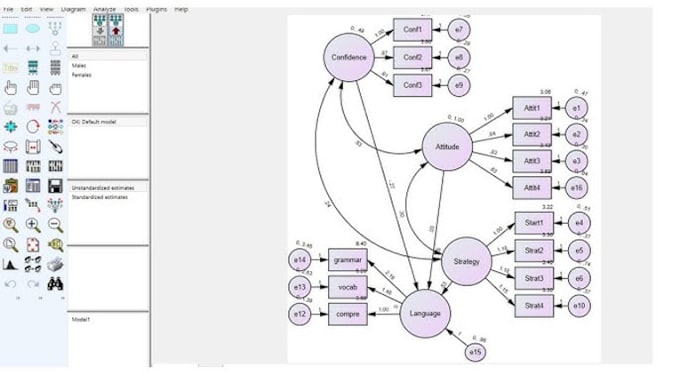 Gig Preview - Do structural equation modelling using amos and smart pls