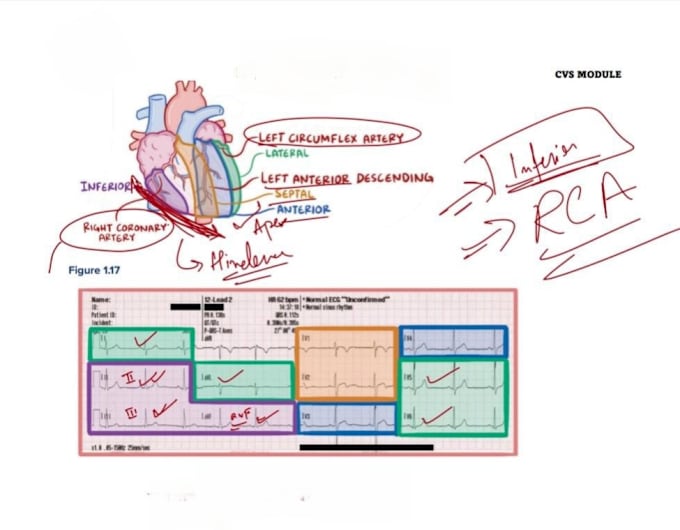 Gig Preview - Teach first aid and uworld for usmle step 1, nbme and cbse