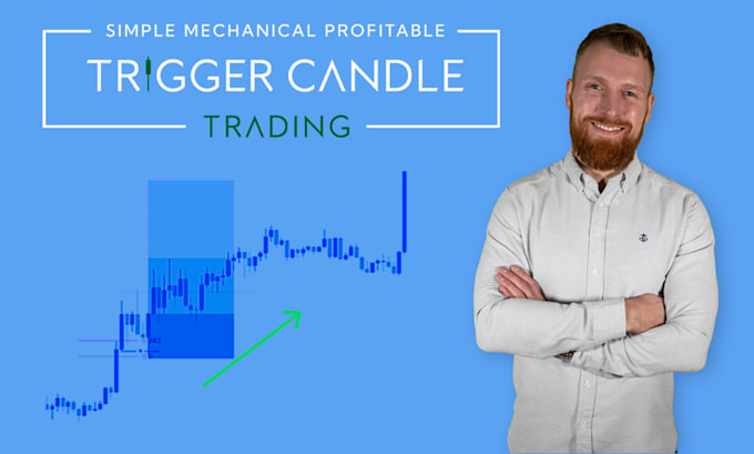 Gig Preview - Teach you my forex day trading strategy