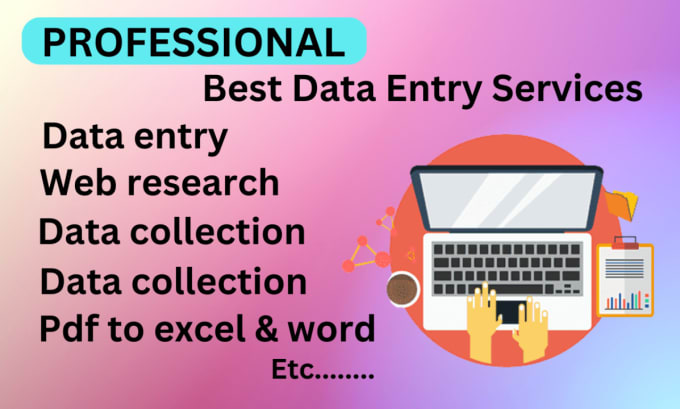 Gig Preview - Provide simple data entry in low price within 24 hours with unlimited revision