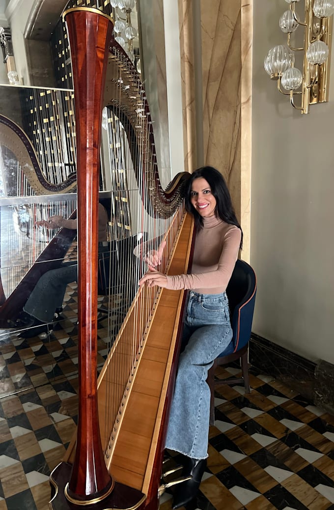 Gig Preview - Record high quality harp sounds