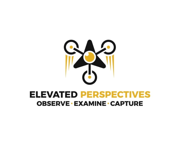 Gig Preview - Design professional drone inspection business logo