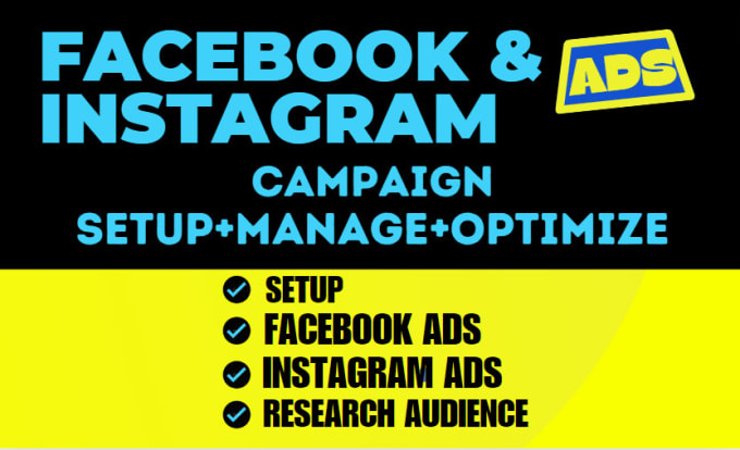 Gig Preview - Setup and optimize facebook ads campaign