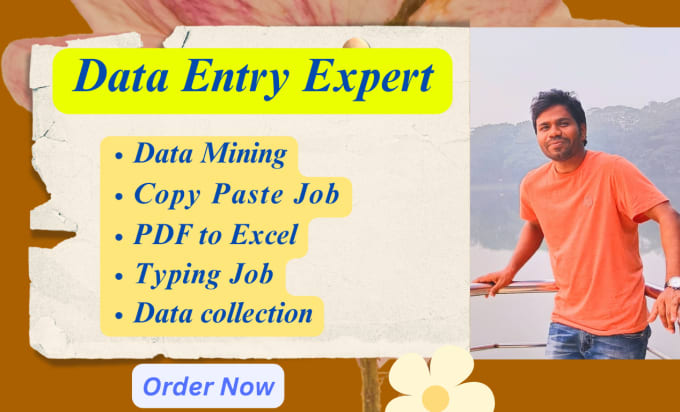 Gig Preview - Do data entry, pdf to excel, copy paste, typing and data mining