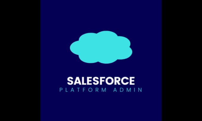 Gig Preview - Be your salesforce platform administrator