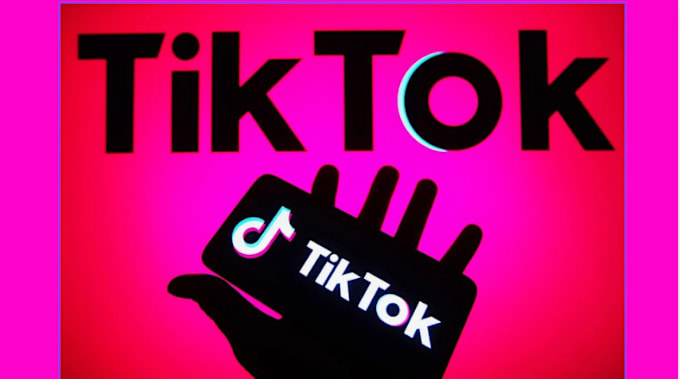 Gig Preview - Promote your tiktok page organically and daily fast organic growth and followers