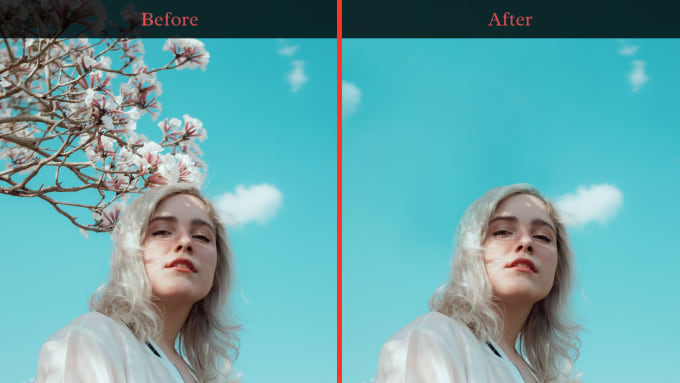 Gig Preview - Remove unwanted objects and people from photo by photoshop