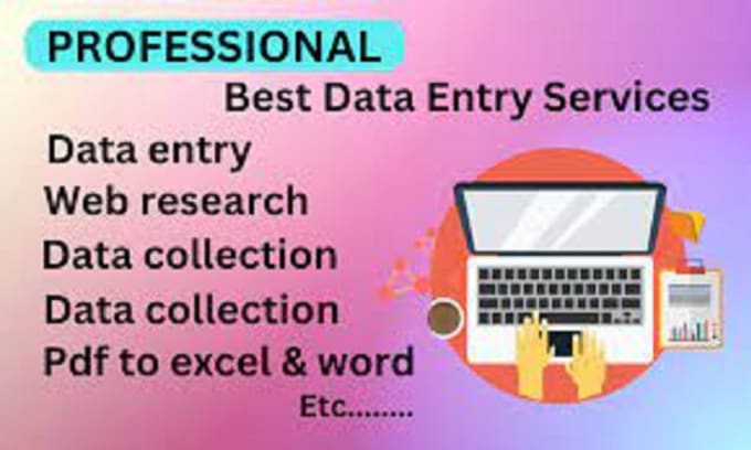 Gig Preview - Carry out flawless data entry work and web research swiftly