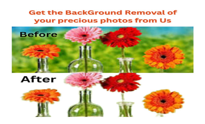 Gig Preview - Image background remover service