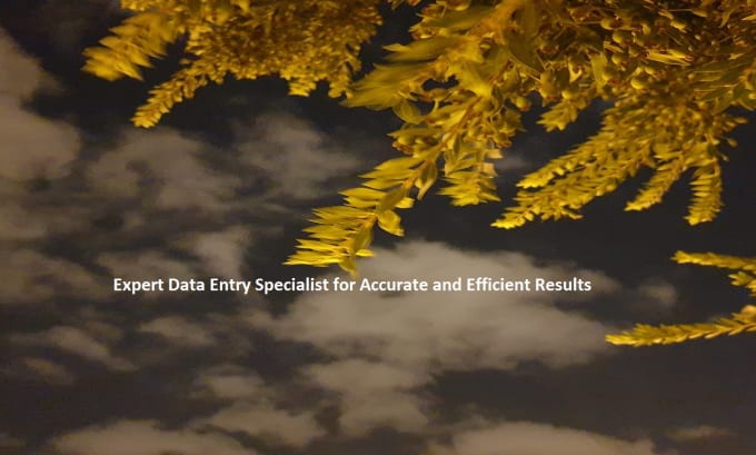 Gig Preview - Expert data entry specialist for accurate and efficient results