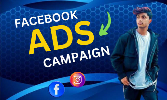 Gig Preview - Setup facebook ads campaign, instagram ads campaign