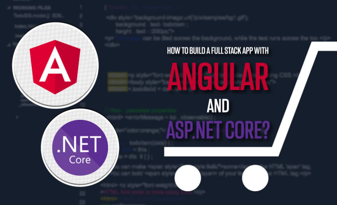 Gig Preview - Do an asp dot net API and nextjs and angular web app