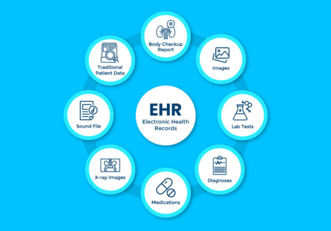 Gig Preview - Create electronic health records ehr system