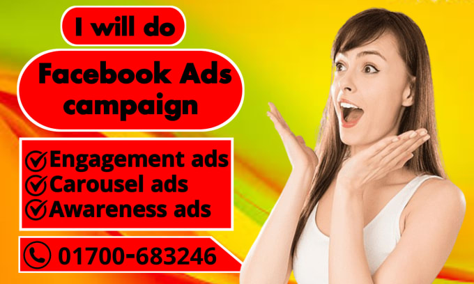 Gig Preview - Do facebook ads campaign