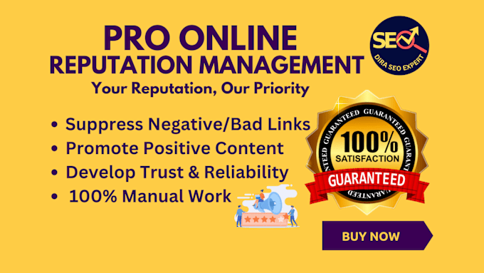 Gig Preview - Do pro online reputation management, reverse SEO to push down negative listing