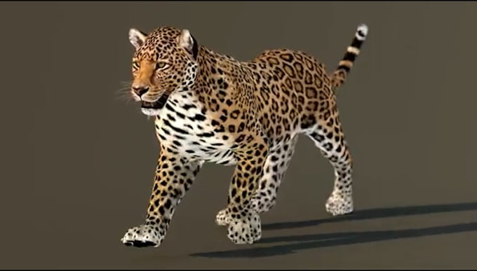 Bestseller - integrate 3d cgi animal model, 3d ue5 animal, animation to your film, vf