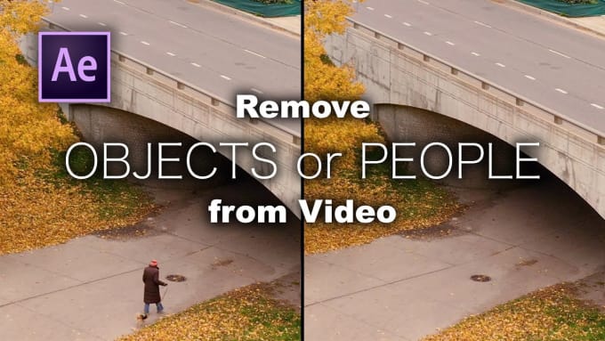 Bestseller - remove unwanted object, text, logo from video