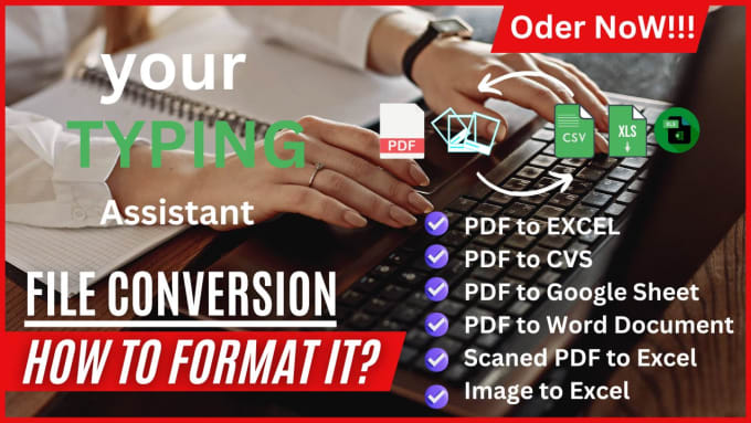 Gig Preview - Convert image and pdf to word or excel data entry in 24 hours