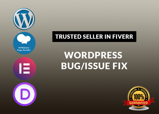 Gig Preview - Fix issue or bug with wordpress website in 24h