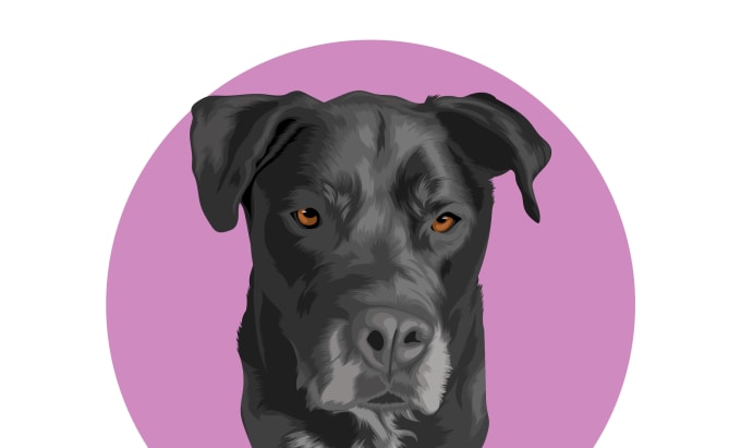 Gig Preview - Create custome pet portrait