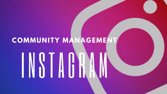 Gig Preview - Be your instagram community manager