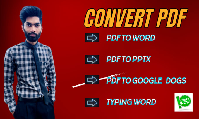 Gig Preview - Convert pdfs to word and offer typing service