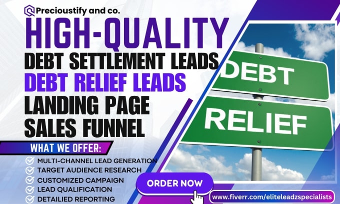 Gig Preview - Generate quality debt settlement leads debt relief leads landing page funnel