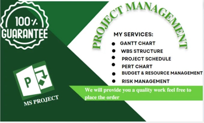 Gig Preview - Do expert ms project planning, scheduling, gantt charts and resource management