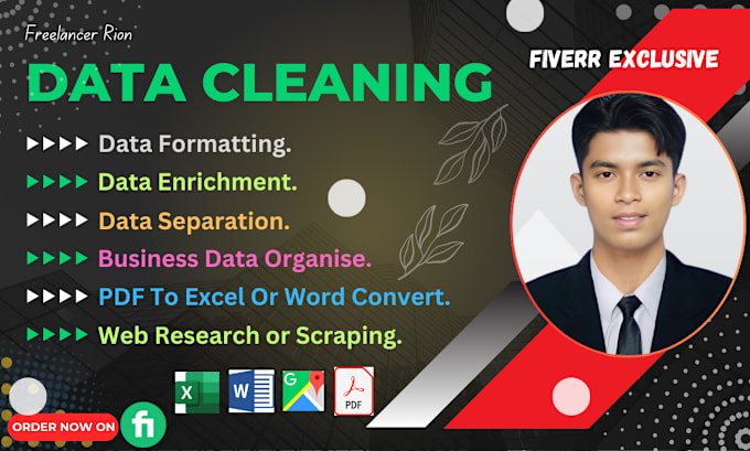 Gig Preview - Expert data entry operator for precise data cleaning, scraping, formatting, etc